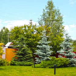 Дизайн дачного участка 18 соток в Завидово